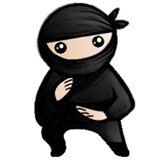 System Ninjav4.0.1
